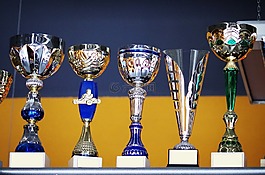 杯,優(yōu)勝者,獎(jiǎng)勵(lì)