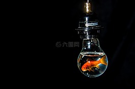 燈泡,光,電力