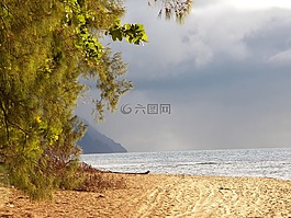 夏威夷,考艾島,海