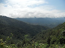 山,樹,戶外