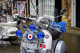 黑盾胡蜂,滑板車,摩托車
