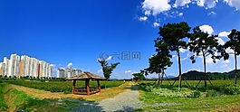 秋季,景觀,全景