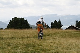 山地自行车,山,自行车
