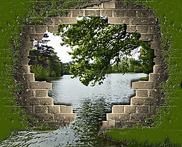 树,水,孔