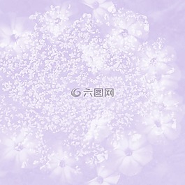 紋理,婚禮,嬰兒