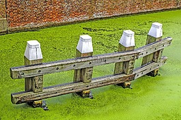 運河,水,泡沫