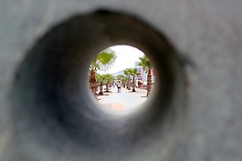 阿拉尼亞,火雞,海灘邊