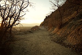 路徑,山,徑