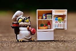 貓頭鷹,烤,廚師