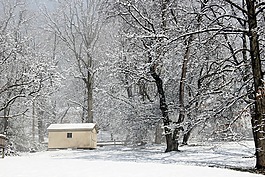 冬天,雪,冷