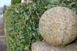 球,石球,對(duì)沖護(hù)欄網(wǎng)