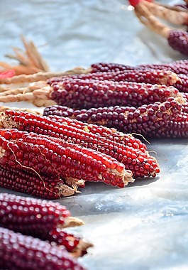 民俗,食物,色彩