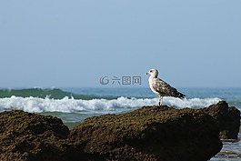 注意的,寧?kù)o,mar