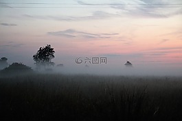 霧,草甸,性質