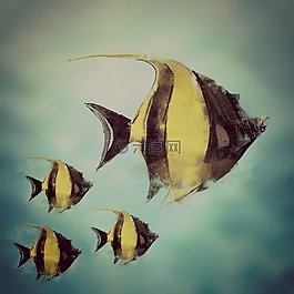 魚,水,水彩