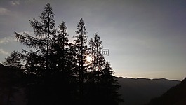 自然,光,景觀