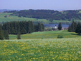 廢墟,尖頂,rottachsee