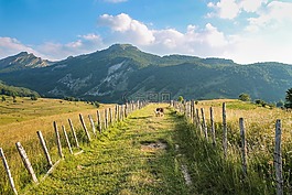 流浪,徒步旅行,山