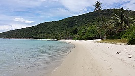 夏威夷,棕櫚樹,海洋