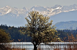 景觀,復(fù)活節(jié)湖,iffeldorf