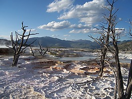 黃石國家公園,懷俄明州,陽臺