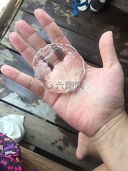手,海蜇,清除