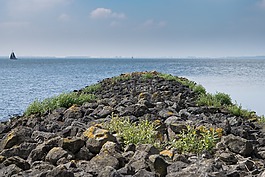 巖,水,海洋