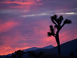 日落,景觀,山