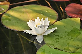 湖,性質(zhì),景觀
