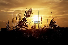 太阳,颜色,对比