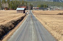 路,景觀,大自然
