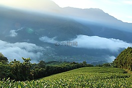 臺(tái)灣,武界,清晨