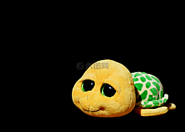 龜,毛絨動物,毛絨玩具