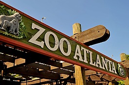 動物園,亞特蘭大,野生動物