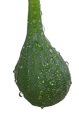 無(wú)花果,水果,食品
