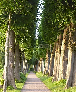 性質(zhì),大道,格呂克斯堡