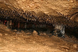 oselle,洞穴,法國