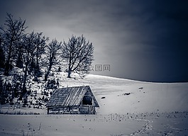 冬天,雪,自然