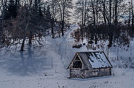 冬天,雪,霜
