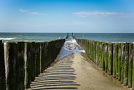 北海,荷蘭,海灘