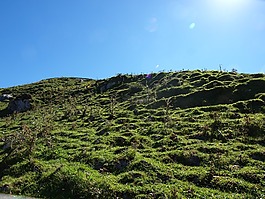 山,景觀,視圖