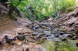 性質(zhì),水體,木材