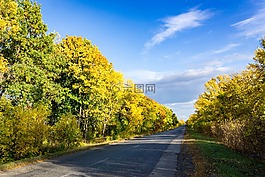 秋季,油漆,路