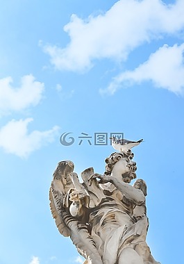 紀(jì)念碑,羅馬,海鷗