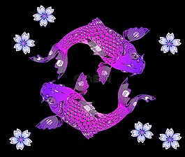 錦鯉,鯉魚,魚