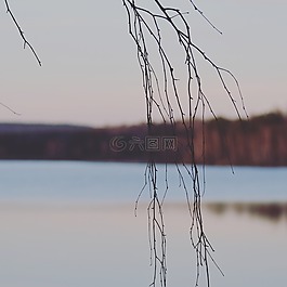 巴伐利亞,湖,海景