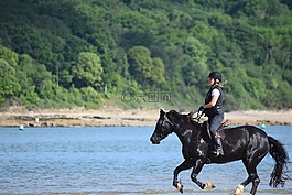 馬,海,騎手