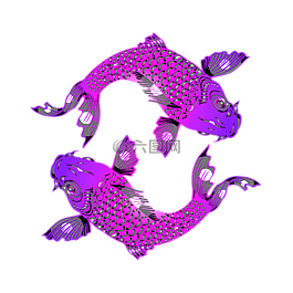 錦鯉,鯉魚,魚