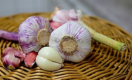 大蒜,大量,氣味