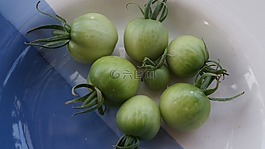 蕃茄,绿色,未成熟的